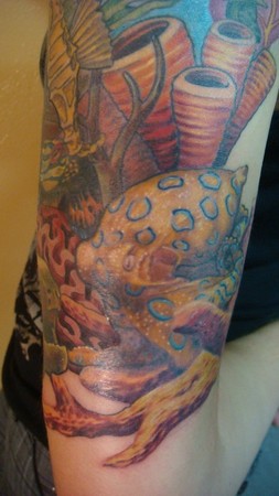 Mason - tight Detail of a underwater sleeve